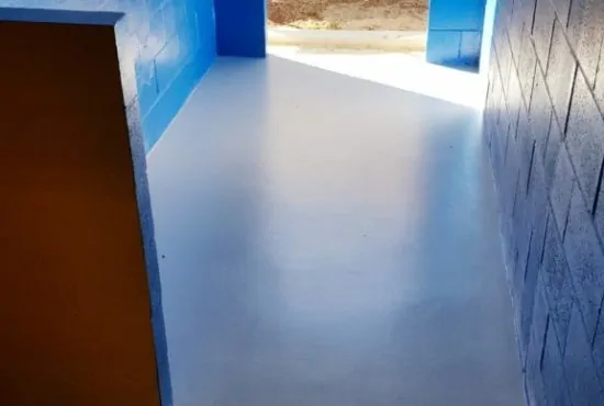 inside view of dog kennel