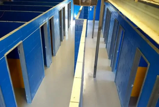 aerial view of flooring with finished surface in dog kennels